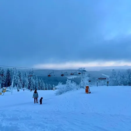 Near The Area