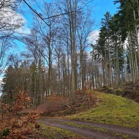Near The Area *