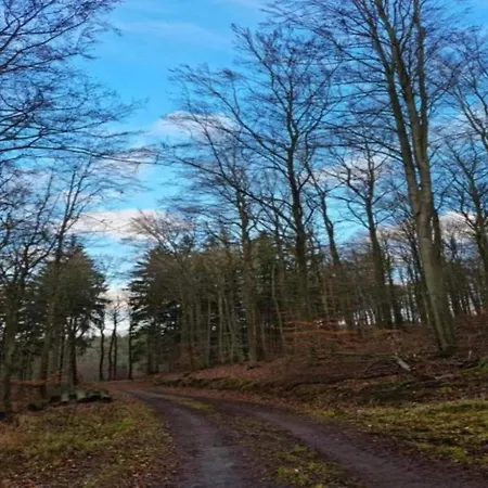 Near The Area * Kurort Steinbach-Hallenberg