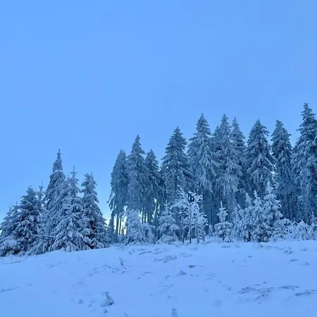 度假居 Aufenthalt In Steinbach-hallenbach